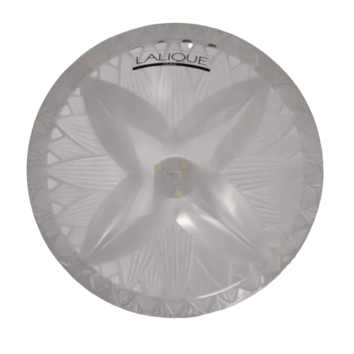 Brand New Lalique Crystal Thebes Vase V02