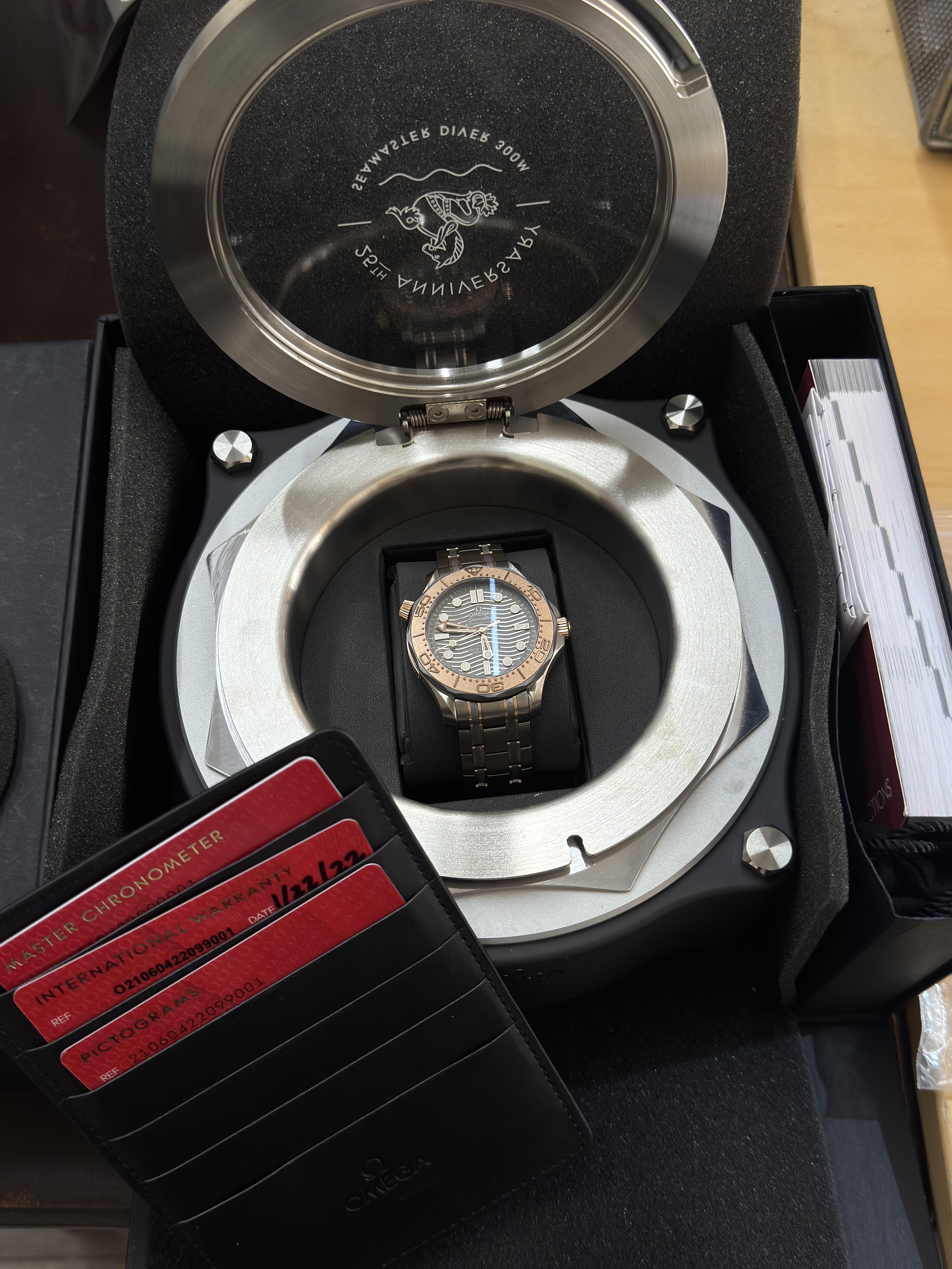 Omega Seamaster Diver 300 Titanium Sedna Gold Automatic Watch 21060422099001