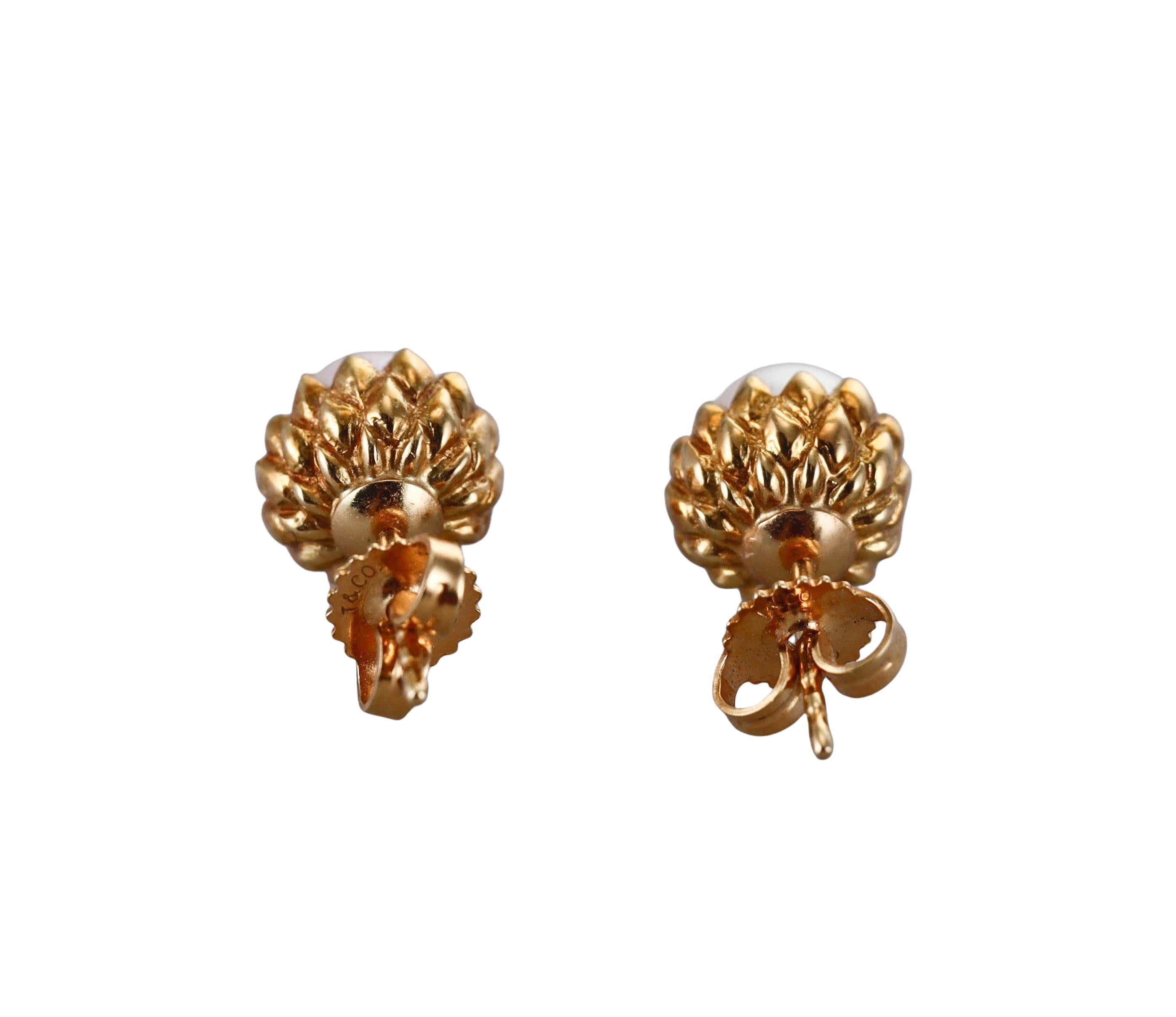 Tiffany & Co Schlumberger Pearl Gold Acorn Stud Earrings