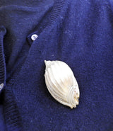 Buccellati Gold Shell Brooch Pin