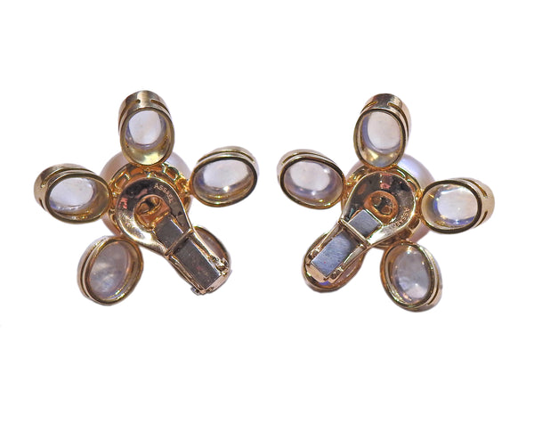Assael South Sea Pearl Moonstone Gold Flower Earrings - Oak Gem